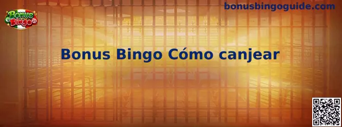 Guía visual para canjear códigos promocionales de Bonus Bingo